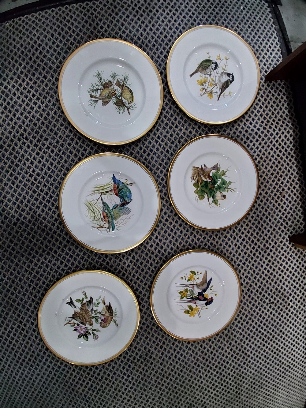 Royal Doulton White Porcelain Bird Plates with Gold Rim - Set of 6